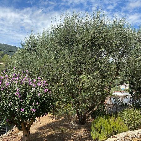 Spacieux 2 Pieces, Au Calme Le Tignet Εξωτερικό φωτογραφία