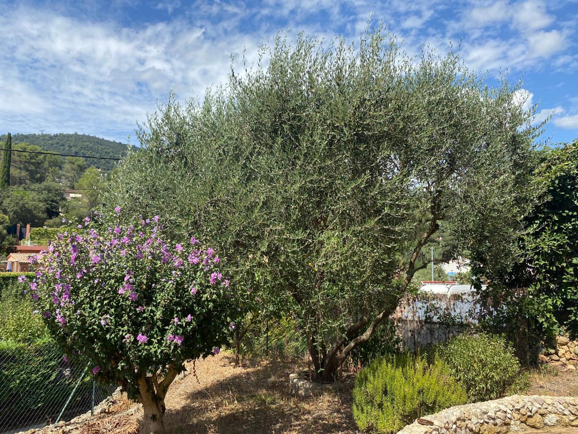 Spacieux 2 Pieces, Au Calme Le Tignet Εξωτερικό φωτογραφία